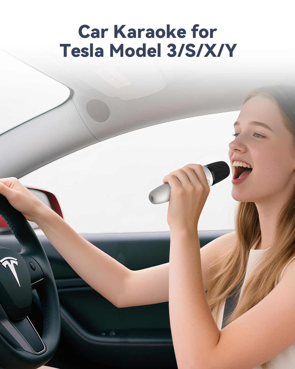 LvDonic Karaoke Microphone for Tesla Model Y/3/S/X, Car Karaoke Microphone with USB A Receiver for Tesla, Wireless Singing Mic with USB C Dongle for Cars, 2 Mics