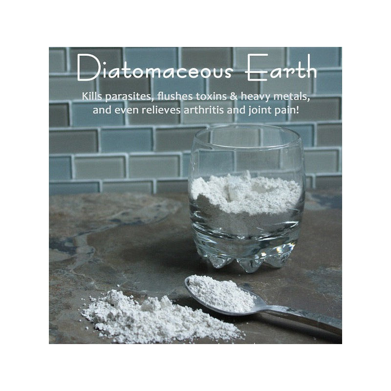 Addicted 2 Healthy Diatomaceous Earth Capsules – Natural Silica Detox Supplement, 120 Count