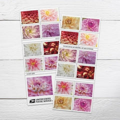 Dahlias 2025 Forever Stamps – 20-Count Booklet, First-Class Mail Postage