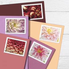 Dahlias 2025 Forever Stamps – 20-Count Booklet, First-Class Mail Postage