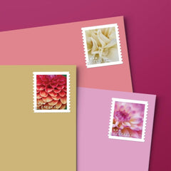 Dahlias 2025 Forever Stamps – 20-Count Booklet, First-Class Mail Postage
