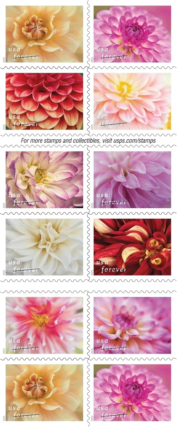 Dahlias 2025 Forever Stamps – 20-Count Booklet, First-Class Mail Postage