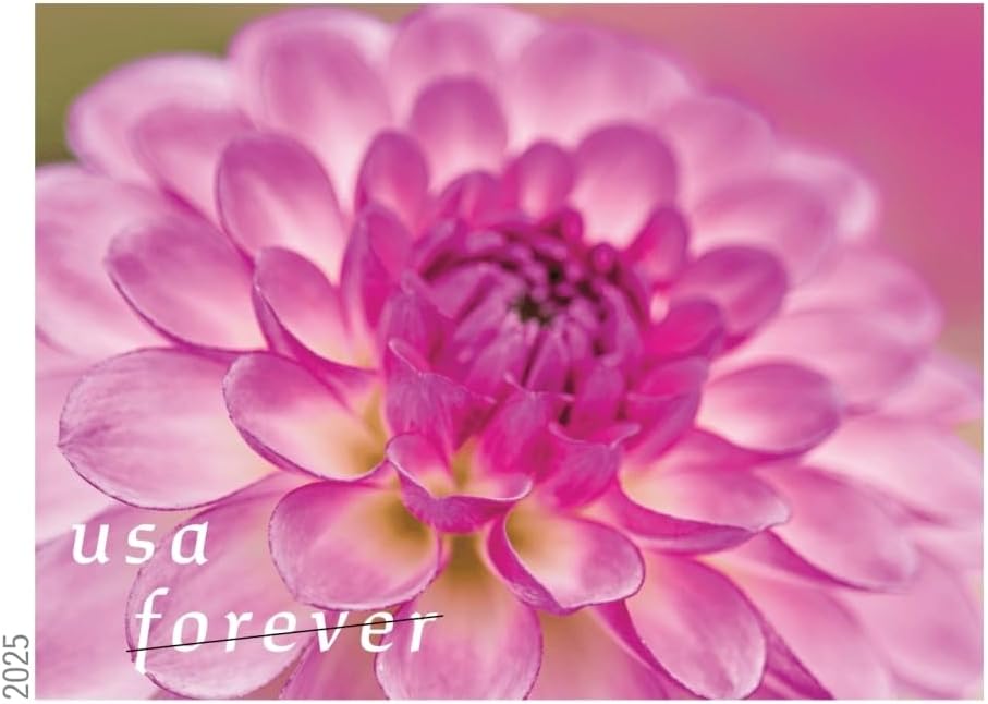 Dahlias 2025 Forever Stamps – 20-Count Booklet, First-Class Mail Postage