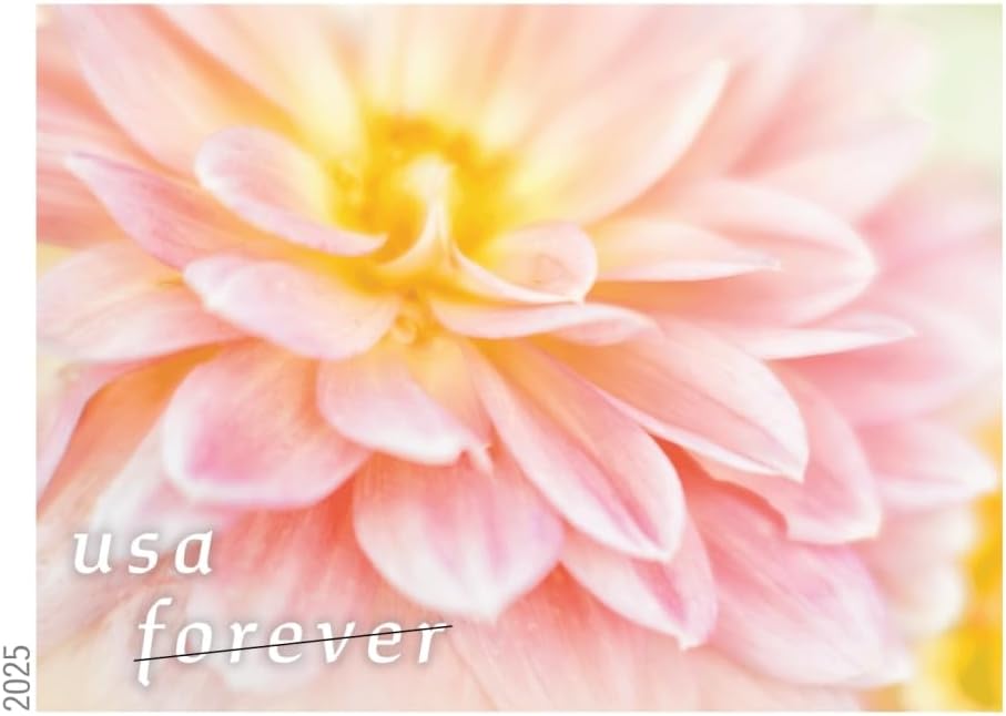 Dahlias 2025 Forever Stamps – 20-Count Booklet, First-Class Mail Postage