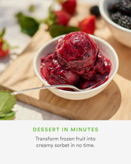 Nama J2 Juicer Sorbet Attachment – Frozen Treat Maker Accessory, BPA-Free Stainless Steel, Easy to Assemble & Clean