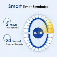 5-Mode Electric Rotary Toothbrush, Waterproof Rechargeable Toothbrush with Timer and USB Charging | Color: 4 Heads B