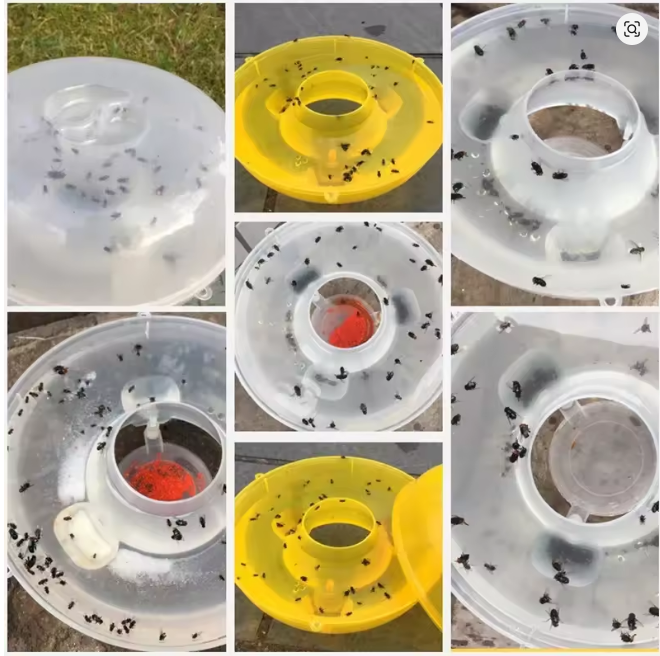 Bait Attracting Flycatcher – Harmless, Non-Toxic & Odorless Mosquito and Fly Killer for Pest Control